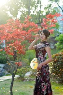 婷婷玉立背景图,探寻古典美韵的视觉盛宴