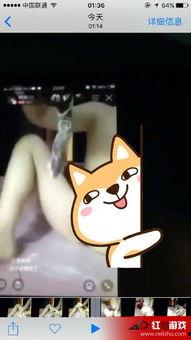 黄鳝女主播原视频,网络直播的暗面与争议