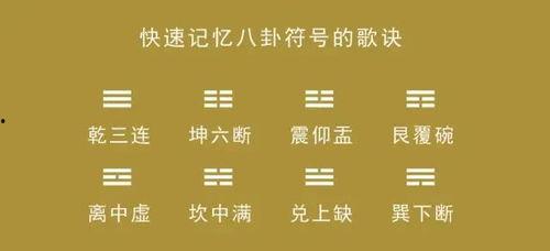 新快论坛八卦体